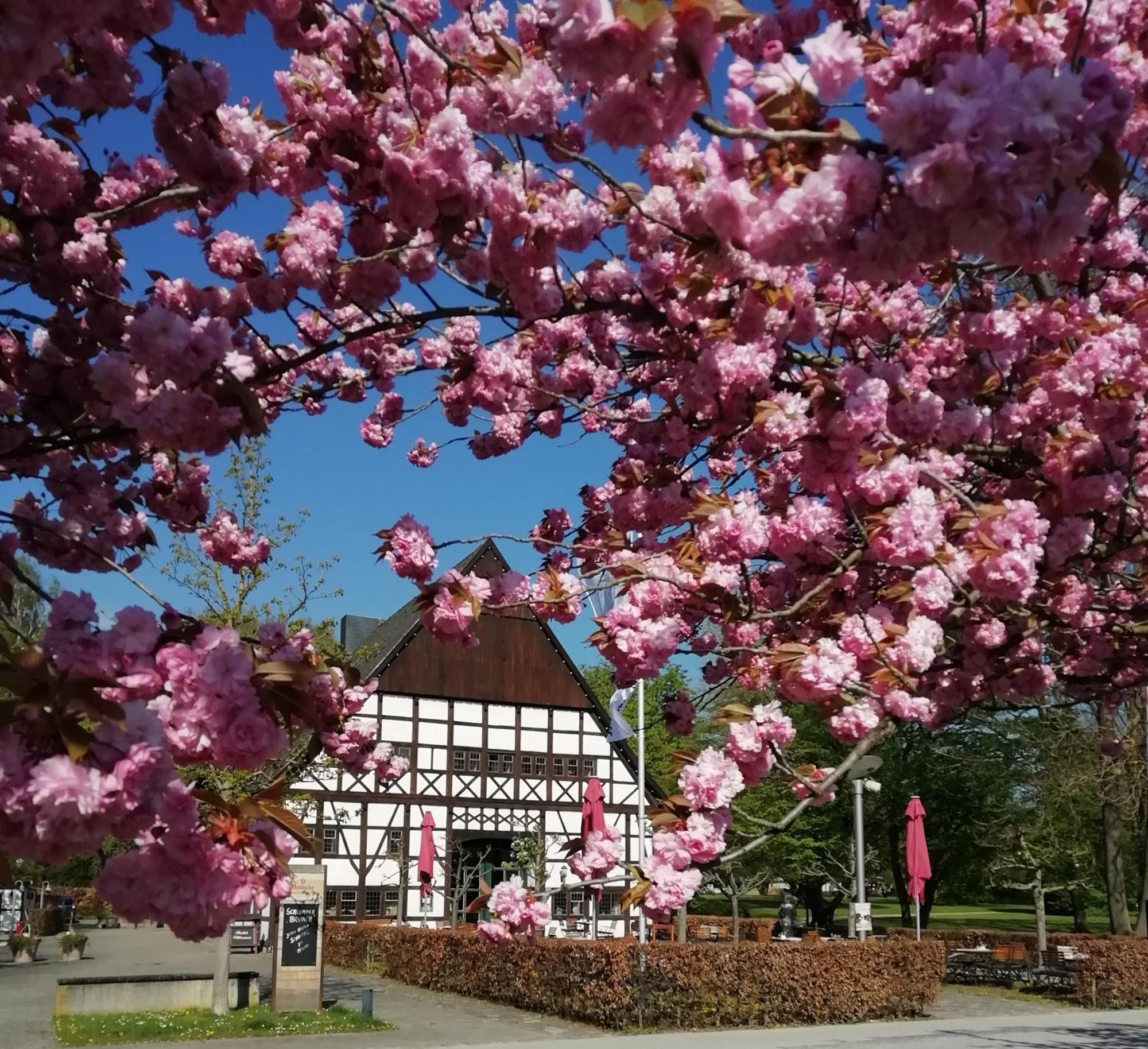 Hof Hueck Hotel Bad Sassendorf Exterior foto